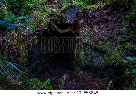 Beautiful dark Cave in Rangitoto Island, made of volcanic formations in New Zealand.