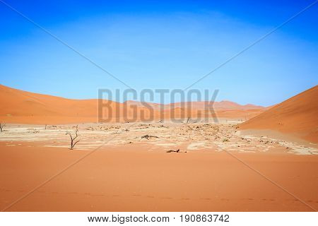 Dead Trees In A Salt Pan In The Deadvlei.