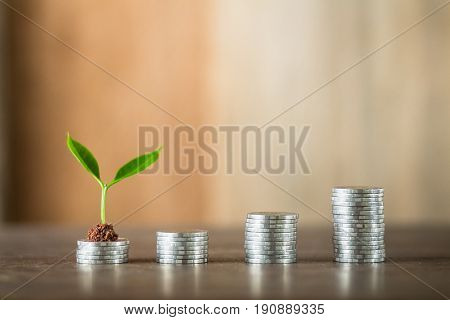 Four piles of money laid on wood, wood background, natural light, finance, interest, increase, four steps