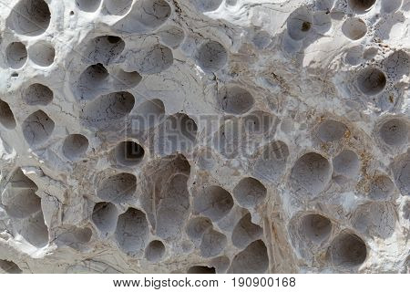 Bioerosion boring traces of boring organisms on a coastal limestone.
