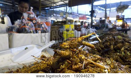 Chiang Mai Thailand 27-May-2011: A woman is working hard in a market stall where exotic food such as grass hoppers are being served in Chiang Mai.