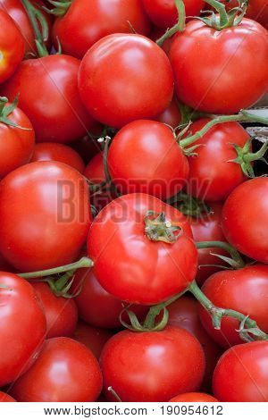 Deliciou red tomatoes. Summer tray market agrigulture farm.
