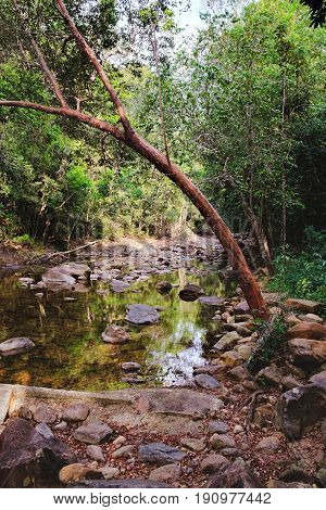 Small mountain stream in the shade of the tropical forest with snag tree in the foreground Mu Koh Chang National Park, Thailand. View from the trail to the Khlong Phlu waterfall. Natural background.