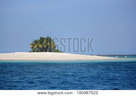 Naked Island clump of coconut trees, Philippines
A clump of coconut trees dots the Naked Island in Britania Islands in Surigao del Sur, southern Philippines.