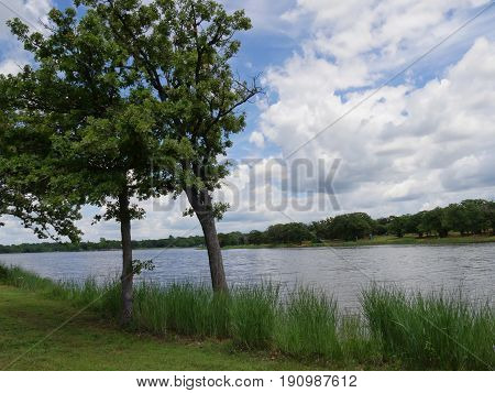 Two trees beside a lake 
Two young trees beside Guthrie Lake in Guthrie, Oklahoma