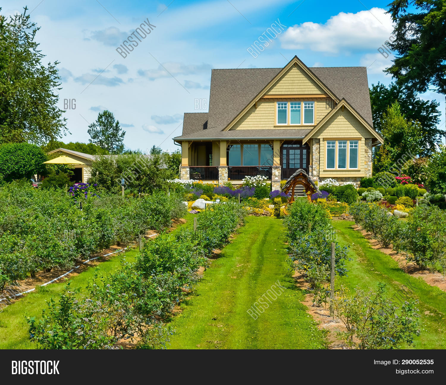 Berry Farm House Image & Photo (Free Trial) Bigstock