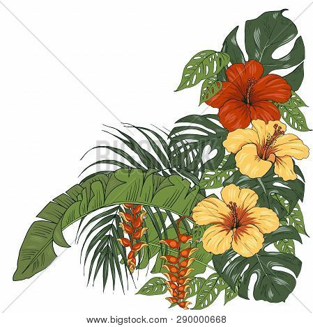 Tropical Plants And Flowers, Palm And Monstera Leaves, Hibiscus And Heliconia Flowers, Vector Illust