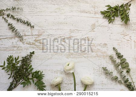 Beautiful Ranunculus Flowers And Herbs On Wooden Background