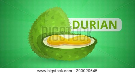 Vegan Durian Concept Banner. Cartoon Illustration Of Vegan Durian Vector Concept Banner For Web Desi