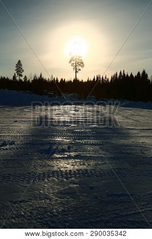 Backlit Image Of Tree With Reflections On Frozen Ground.