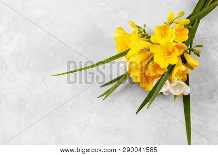 Bouquet Of Yellow Freesias On Grey Stome Background, Copy Space Top View