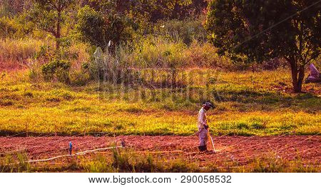 Farmers Are Watering New Vegetable Crops For Future Growth.