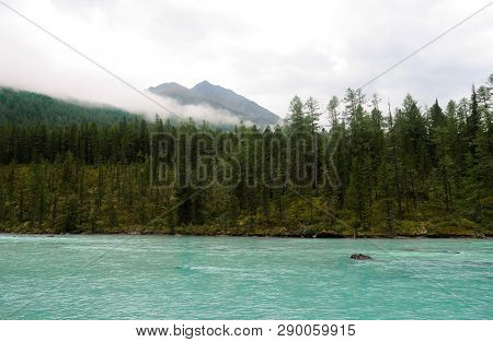Picturesque View At Kucherla Mountain River And Mountain Forest. Belukha National Park, Altai Republ