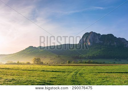 Springtime Countryside Of Romania At Sunrise. Beautiful Scenery With Trees On A Grassy Field. Huge R
