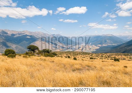 High Country Above Wairau River In Marlborough, South Island, New Zealand