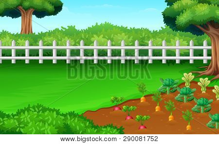 Illustration Of Farm Fields View In The Daylght