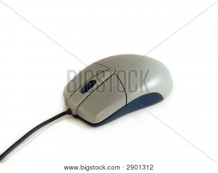 Myš