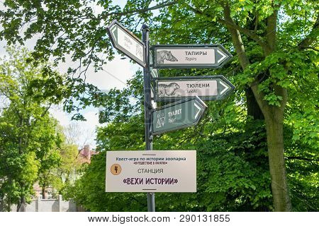 Kaliningrad, Russia - May 21, 2016: Signs With Indication Of Destinations To Tapirs And Seals In The