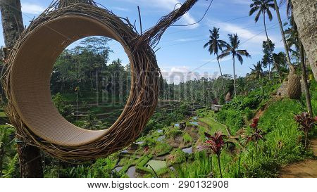 Tegalalang Rice Terraces In Ubud, Bali. Tegalalang Rice Terrace Is One Of The Famous Tourist Objects