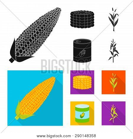 Isolated Object Of Cornfield And Vegetable Sign. Collection Of Cornfield And Vegetarian Stock Symbol