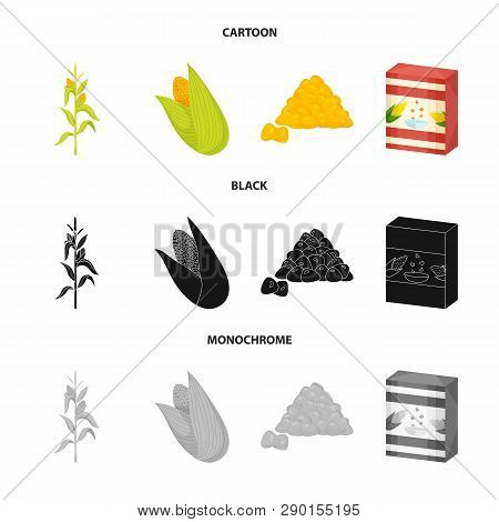 Vector Illustration Of Cornfield And Vegetable Icon. Collection Of Cornfield And Vegetarian Stock Sy