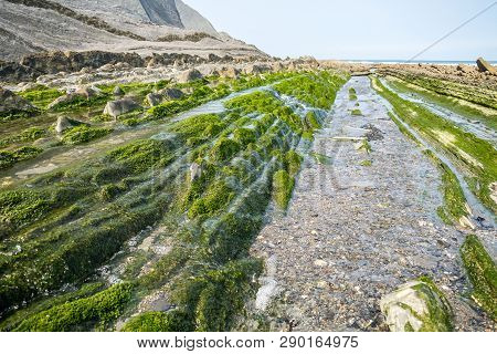 The Flysch Coast Of Sakoneta, Zumaia - Basque Country, Spain