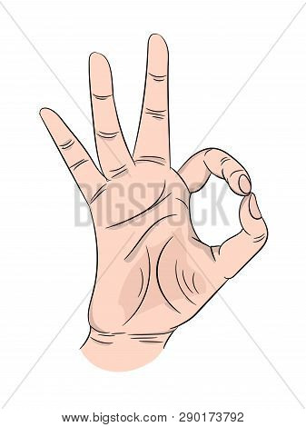 Ok Human Hand Gesture Depicting Approval, Consent On Isolated White Background