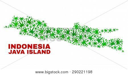 Vector Marijuana Java Island Map Mosaic. Template With Green Weed Leaves For Weed Legalize Campaign.
