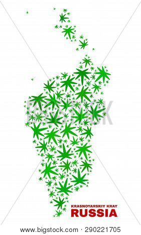 Vector Cannabis Krasnoyarskiy Kray Map Mosaic. Template With Green Weed Leaves For Weed Legalize Cam