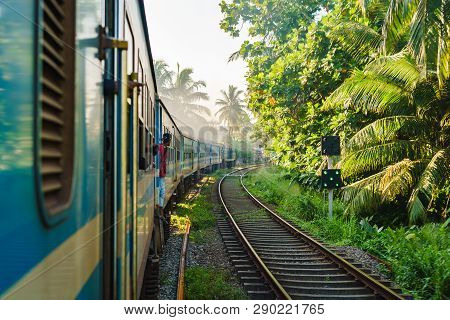 Ella To Kandy Among Tea Plantations In Highlands Of Sri Lank