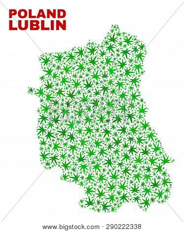Vector Marijuana Lublin Voivodeship Map Collage. Template With Green Weed Leaves For Marijuana Legal