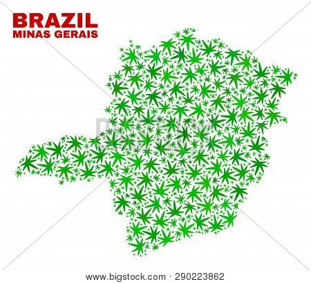 Vector Cannabis Minas Gerais State Map Mosaic. Template With Green Weed Leaves For Cannabis Legalize