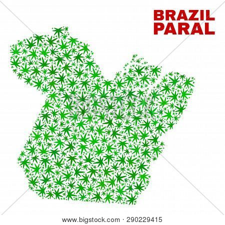 Vector Marijuana Paral State Map Mosaic. Template With Green Weed Leaves For Weed Legalize Campaign.