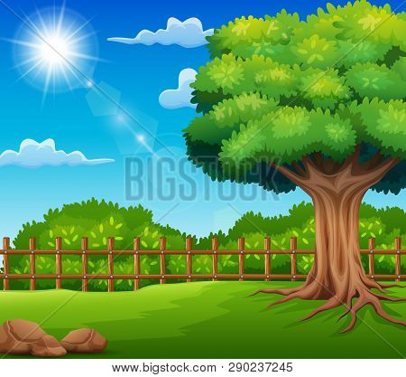 Nature Scene Of The Garden With Sunlight