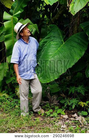 QUINDIO, COLOMBIA, 16 AUGUST, 2018 : Tourists taking part at a guided coffee tour in Quindio, Colombia, South America