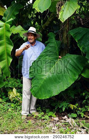 QUINDIO, COLOMBIA, 16 AUGUST, 2018 : Tourists taking part at a guided coffee tour in Quindio, Colombia, South America