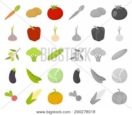 Different Kinds Of Vegetables Cartoon, Mono Icons In Set Collection For Design. Vegetables And Vitam
