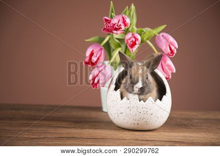 Easter Chickens In A Basket With Eggs. Ellow Easter Chickens In A Colorful Basket With Flowers.