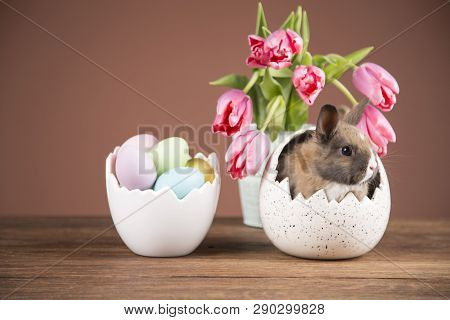 Easter Chickens In A Basket With Eggs. Ellow Easter Chickens In A Colorful Basket With Flowers.