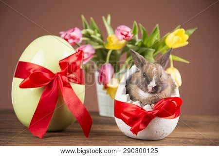 Easter Chickens In A Basket With Eggs. Ellow Easter Chickens In A Colorful Basket With Flowers.