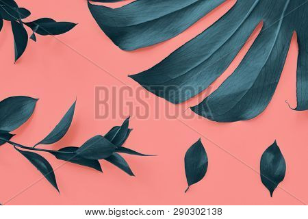 Plant pattern from tropical leaves of Monstera on a background in color Living Coral. Top view.