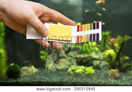 Male Hand Holding Ph Tests In Front Of Freshwater Aquarium.