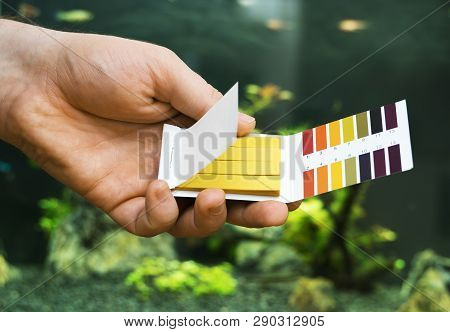 Male Hand Holding Ph Tests In Front Of Freshwater Aquarium.
