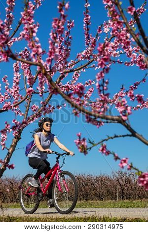 Cycling On The Flowering Peach Trees In The Veria Plain, Organized For The Third Time By The Veria T