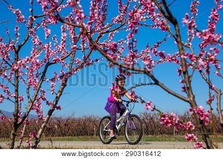 Cycling On The Flowering Peach Trees In The Veria Plain, Organized For The Third Time By The Veria T