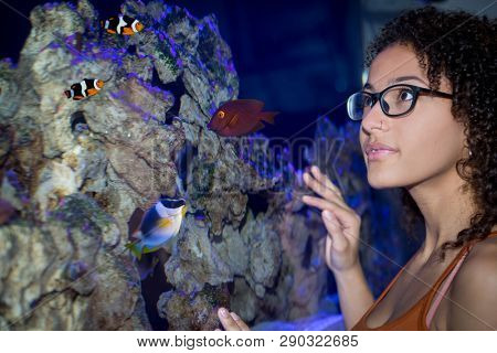 Woman look at different fish inside an aquarium