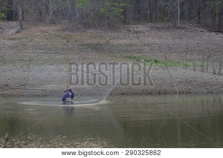 Villagers Are Catching Fish By Fish Trap (net Trap) In Reservoir