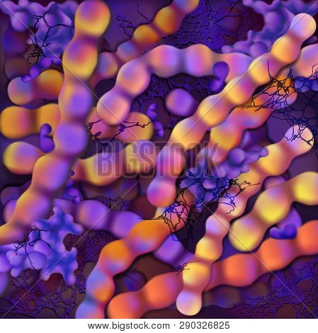 Bacteria. Streptococcus