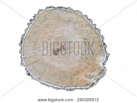 Old Wood Cut With Black Dots On A White Background