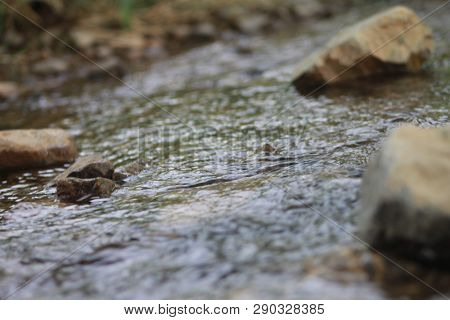 Water Is The Driving Force For Nature